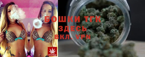 ECSTASY Михайлов